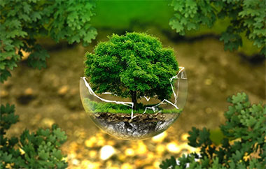 ambiente sfera alberi