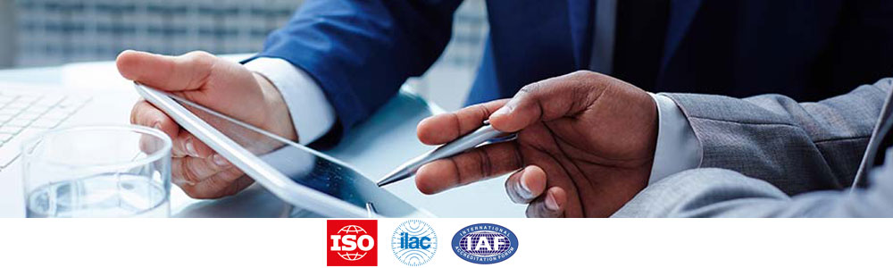 audit remoto survey 1000