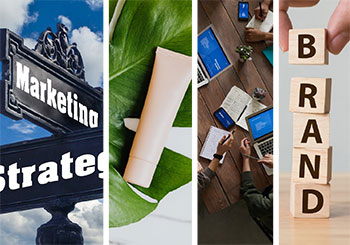 brand management 350