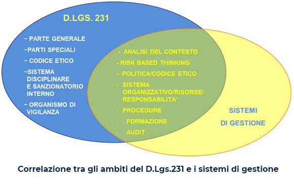 correlazione 231 sg scritta