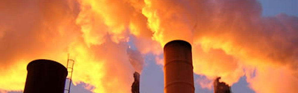 emissioni co2 1000