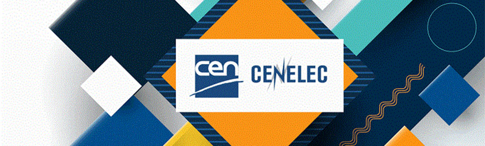 european standardization strategy 1000