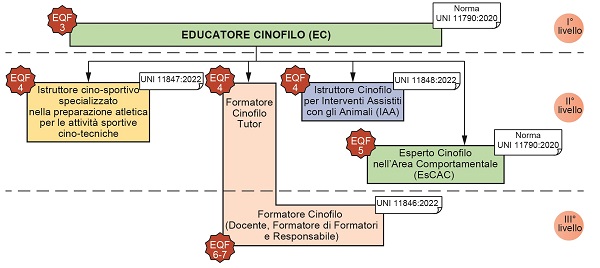 fig Norma prof Cinofile 1