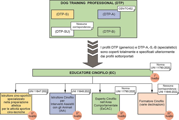 fig Norma prof Cinofile 2