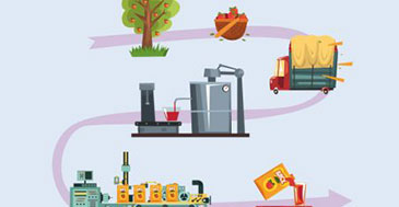 filiera agroalimentare