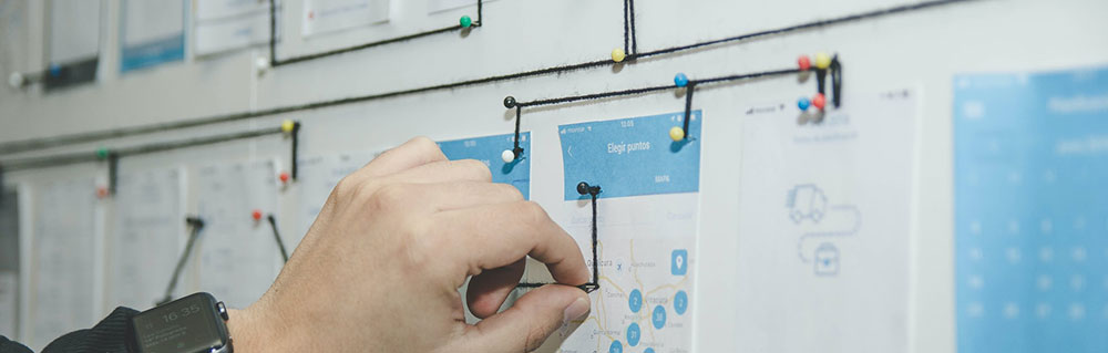 gestione progetti 1000