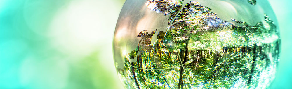 globo ambiente2021 1000