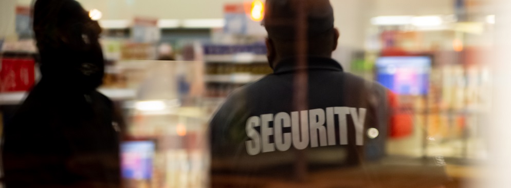 istituti vigilanza 1000