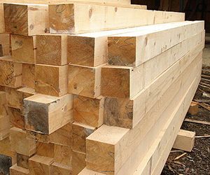 legno conifera