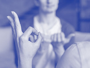 linguaggio segni 315