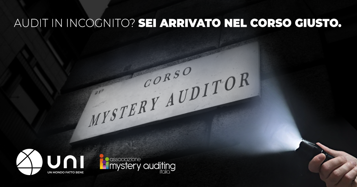 mistery auditor copia