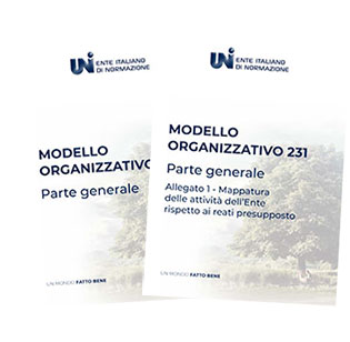 modello231 2cover