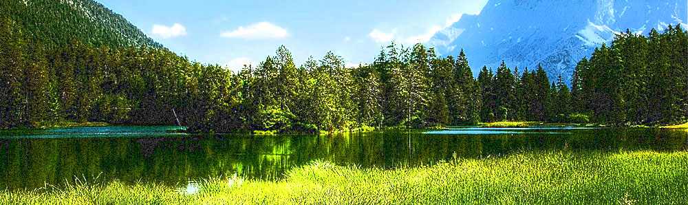 paesaggio alpino 1000