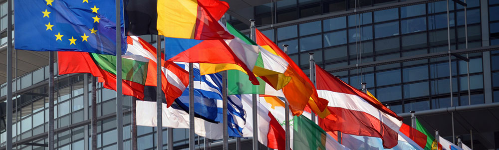 parlamento europeo 1000