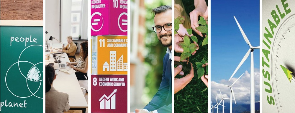 sustainability 2021 1000