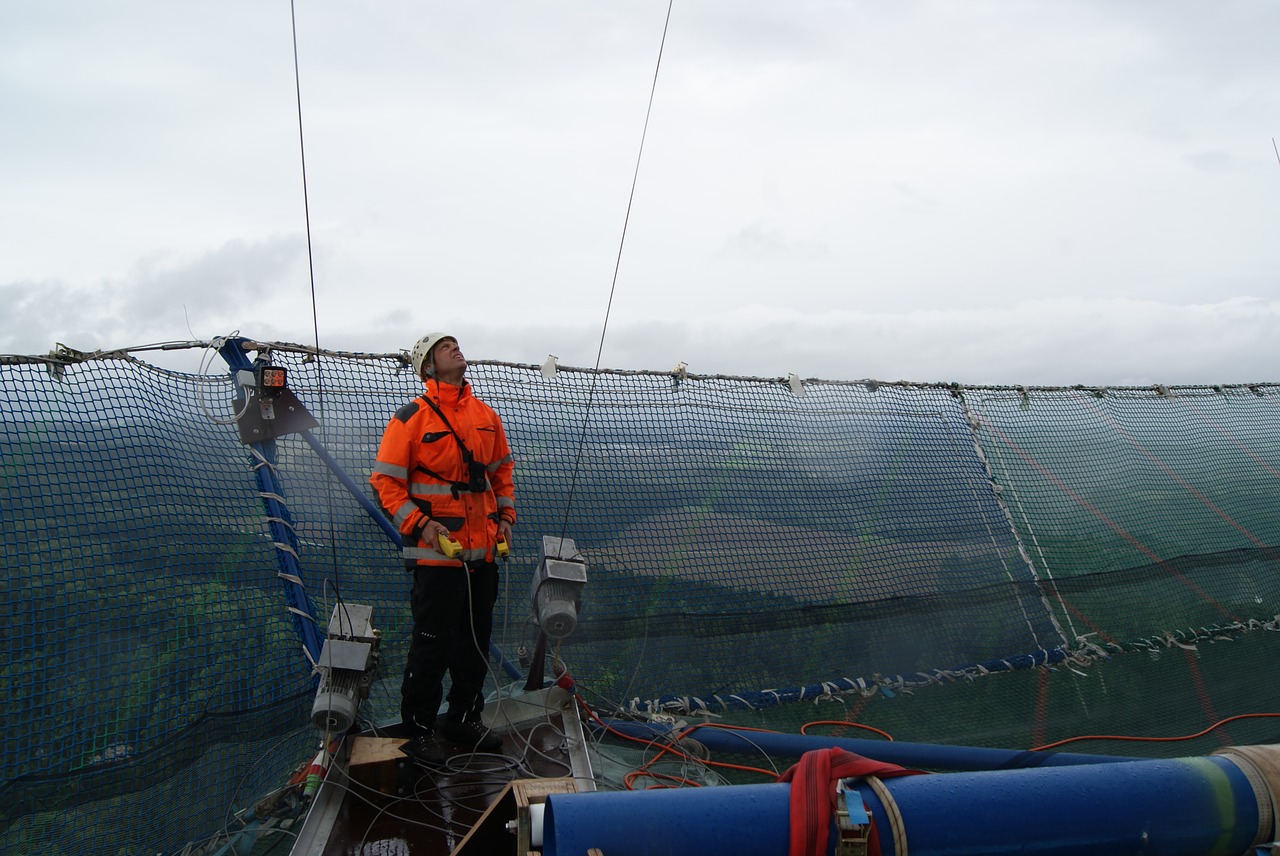protezione lavoro rete