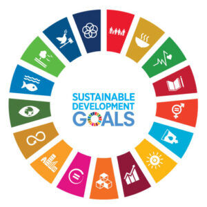 17 Obiettivi Sviluppo Sostenibile ONU