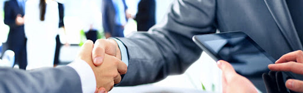 visurista immobiliare 1000